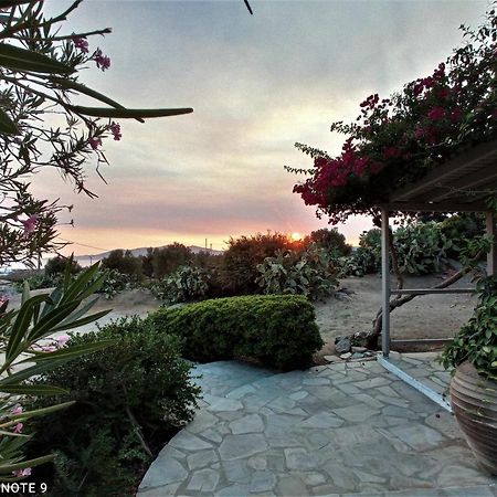 Sunny House With Amazing View For 4+2 Persons Βίλα Πλάκα Εξωτερικό φωτογραφία