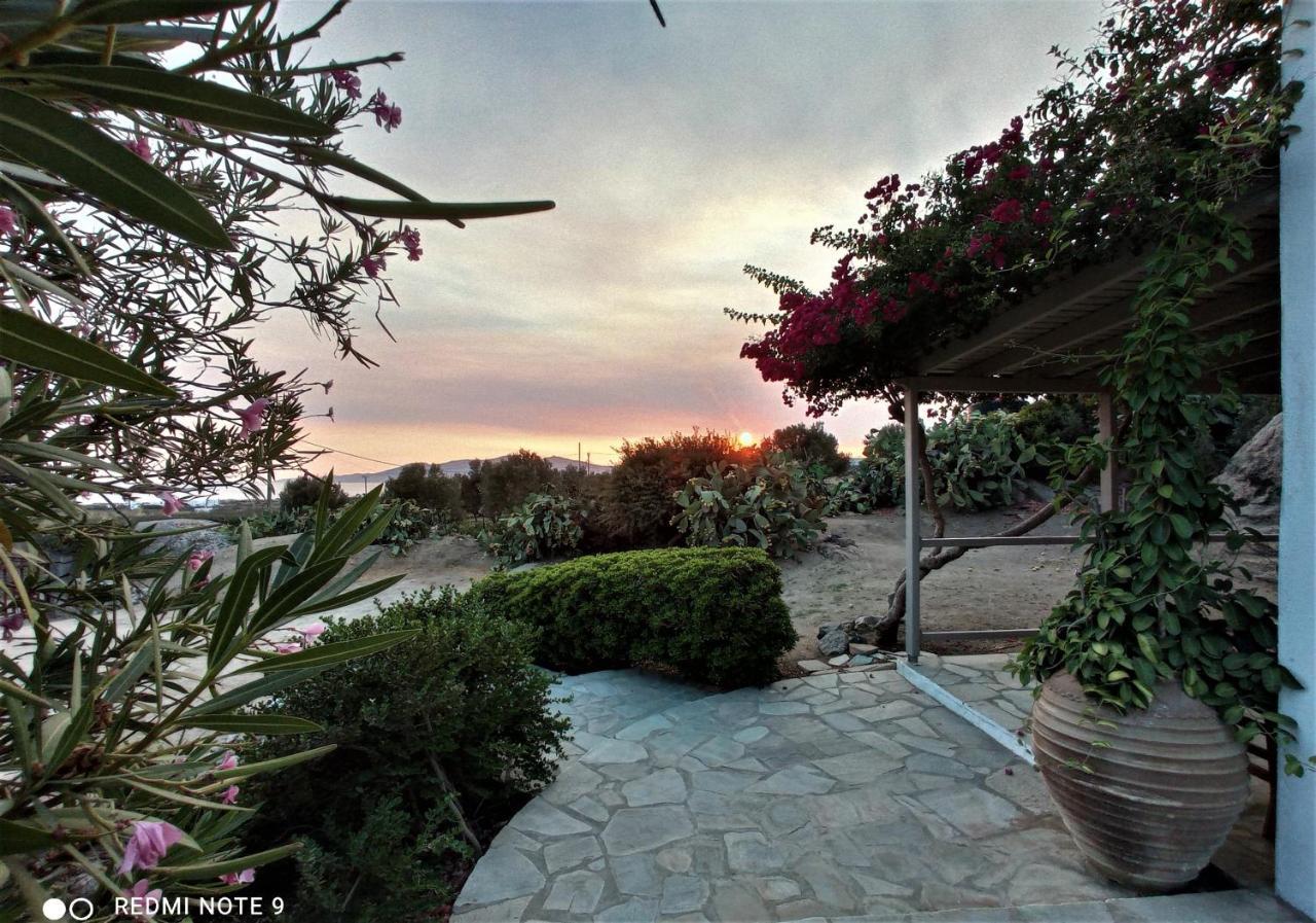 Sunny House With Amazing View For 4+2 Persons Βίλα Πλάκα Εξωτερικό φωτογραφία