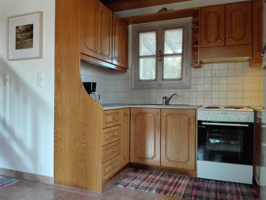 Sunny House With Amazing View For 4+2 Persons Βίλα Πλάκα Εξωτερικό φωτογραφία