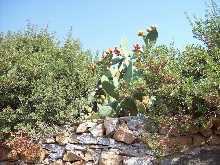Sunny House With Amazing View For 4+2 Persons Βίλα Πλάκα Εξωτερικό φωτογραφία